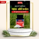 Gamma Oryzanol - New Book , Health Guard
